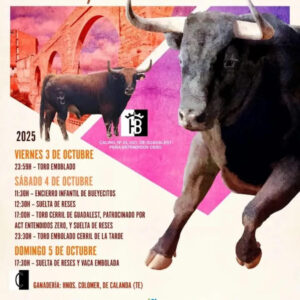 TOROS BARRIO EL CARREL TERUEL 3, 4 Y 5 OCTUBRE 2025
