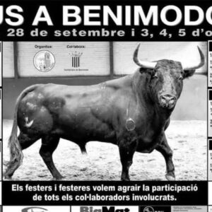 TOROS BENIMODO DEL 3 AL 5 OCTUBRE 2025