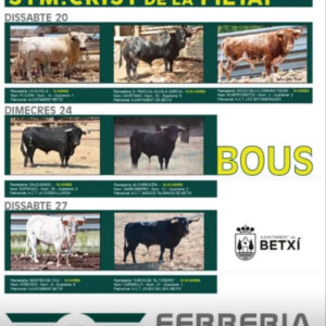 TOROS BETXI DEL 19 AL 28 SEPTIEMBRE 2025