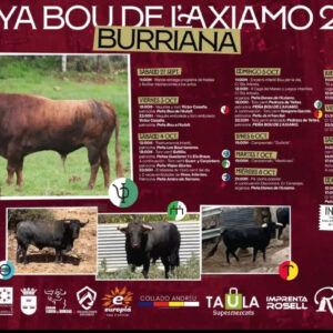 TOROS BURRIANA DEL 3 AL 12 DE OCTUBRE 2025
