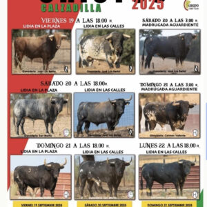 TOROS CALZADILLAS 21 Y 22 SEPTIEMBRE 2025