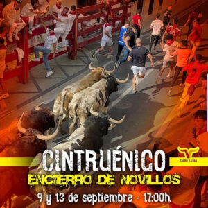 TORO CINTRUENICO 9 DE SEPTIEMBRE 2025