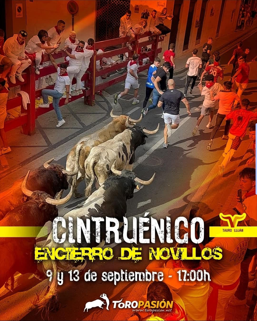 TORO CINTRUENICO 9 DE SEPTIEMBRE 2025