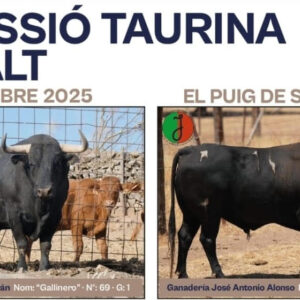 TOROS EL PUIG 11 DE OCTUBRE 2025