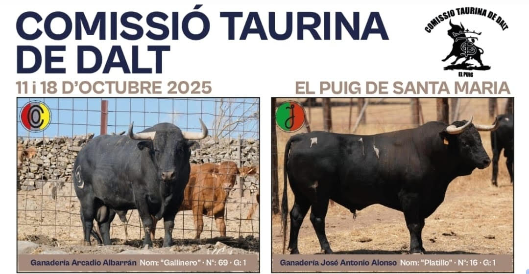 TOROS EL PUIG 11 DE OCTUBRE 2025