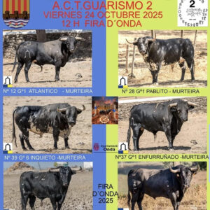 Toros Encierro Onda 24 Octubre 2025