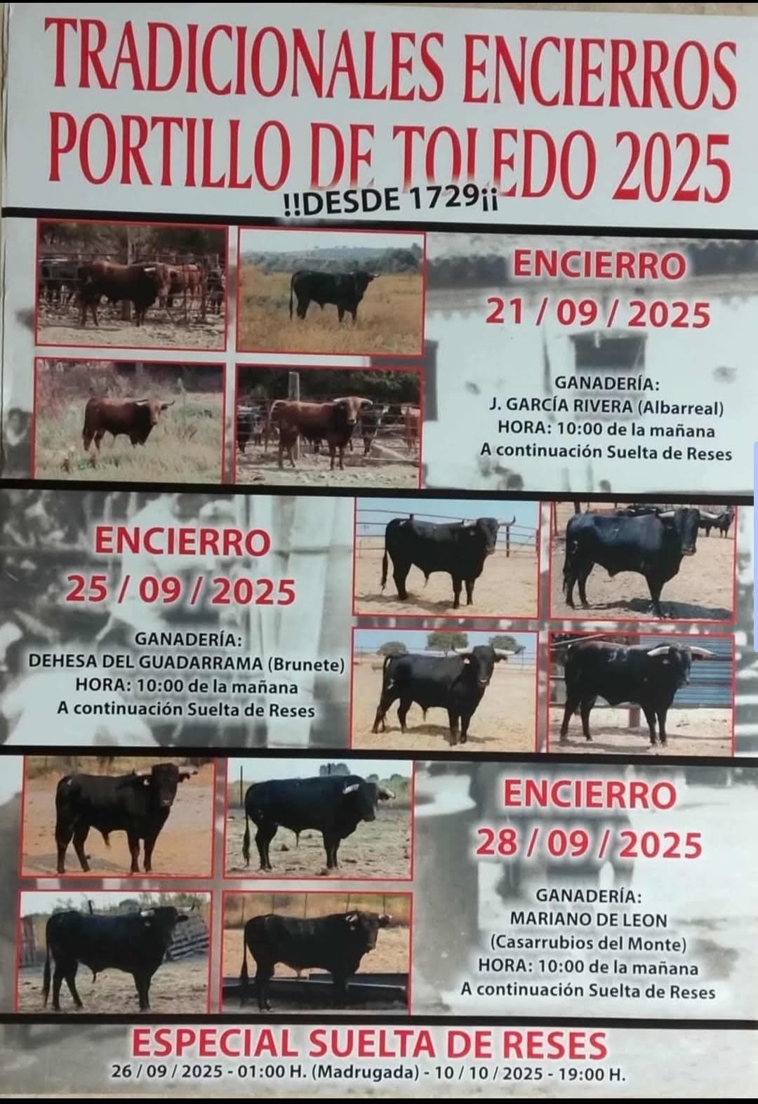 TOROS ENCIERRO PORTILLO DE TOLEDO 28 SEPTIEMBRE 2025