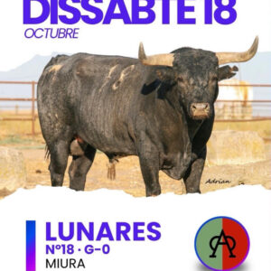 TOROS FERIA DE ONDA 18 OCTUBRE 2025