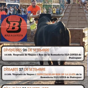 TOROS GATA DE GORGOS DEL 26 AL 28 SEPTIEMBRE 2025