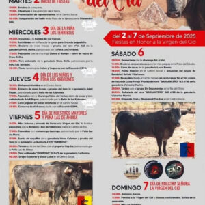 TOROS IGLESUELAS DEL CID DEL 2 AL 7 SEPTIMBRE 2025