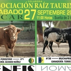 TOROS ISCAR 27 SEPTIEMBRE 2025