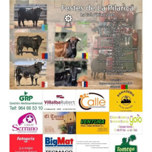 TOROS LA VALL DUIXO 5 OCTUBRE 2025