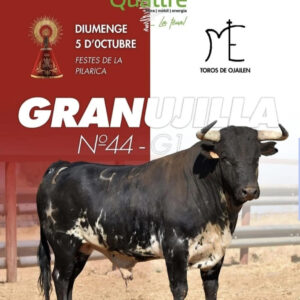 TOROS LA VALL DUIXO 5 OCTUBRE 2025