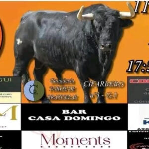 TOROS LLIRIA 11 DE OCTUBRE 2025