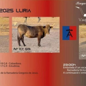 TOROS LLIRIA 9 DE OCTUBRE 2025