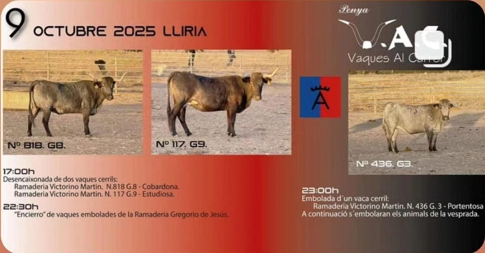 TOROS LLIRIA 9 DE OCTUBRE 2025