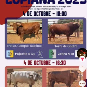 TOROS LUPIANA 4 OCTUBRE 2025