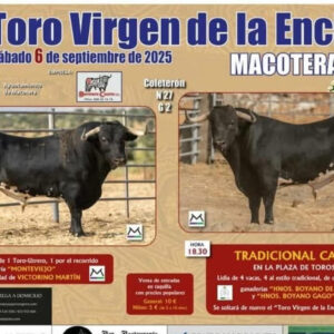 TOROS MACOTERA 6 SEPTIEMBRE 2025
