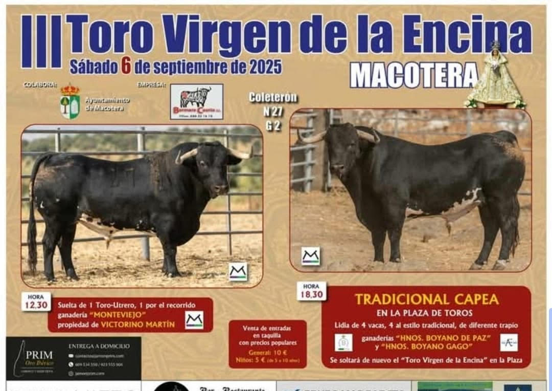 TOROS MACOTERA 6 SEPTIEMBRE 2025