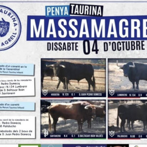 TOROS MASSAMAGRELL 4 OCTUBRE 2025
