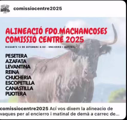TOROS MATINAL RAFELBUÑOL 13 SPTIEMBRE 2025