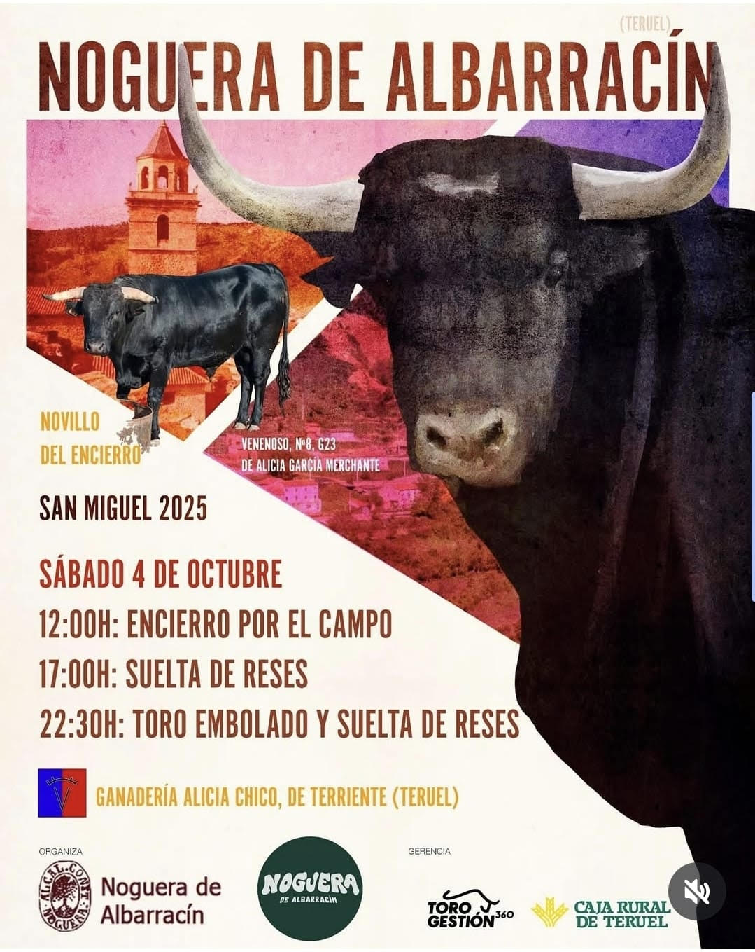 Toros Noguera de Albarracín 4 Octubre 2025