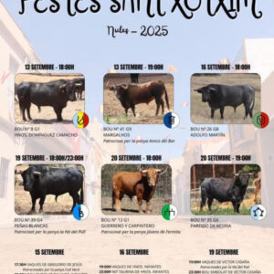 TOROS NULES 16 SEPTIEMBRE 2025