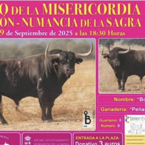 TOROS NUMANCIA DE LA SAGRA 19 SEPTIEMBRE 2025