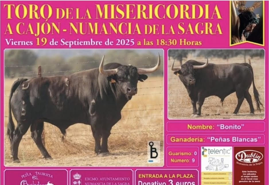 TOROS NUMANCIA DE LA SAGRA 19 SEPTIEMBRE 2025