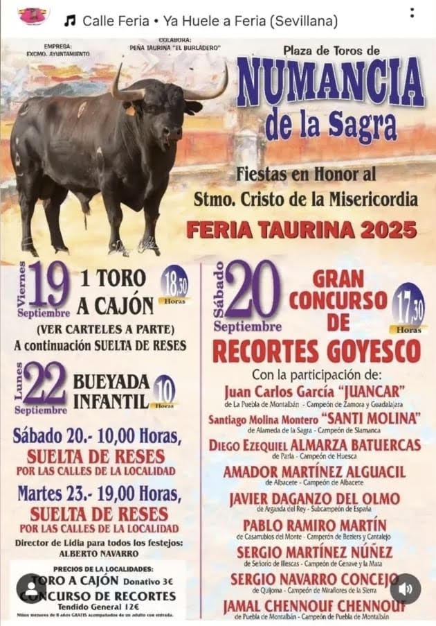 TOROS NUMANCIA DE LA SAGRA DEL 19 AL 22 DE SEPTIRMBRE 2025