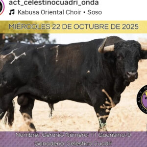 TOROS ONDA 22 OCTUBRE 2025