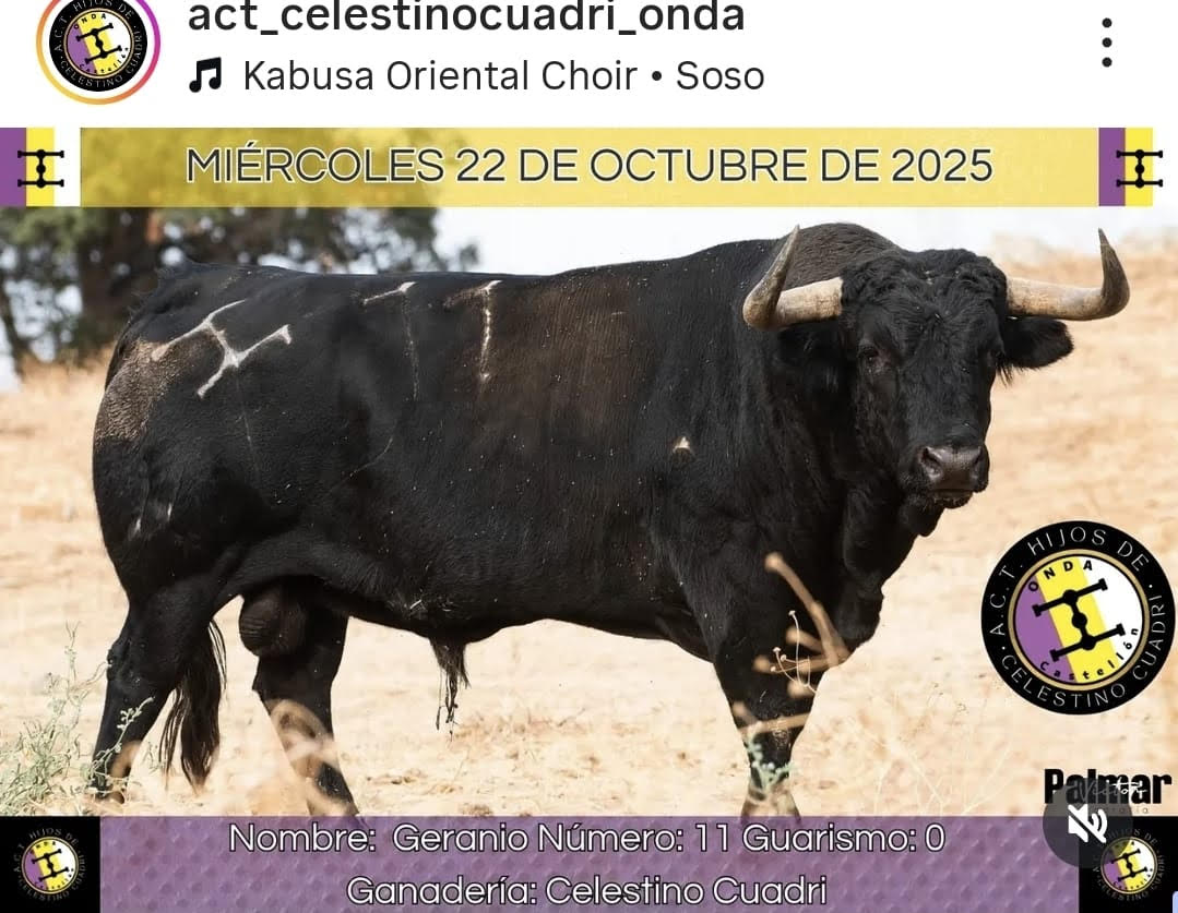 TOROS ONDA 22 OCTUBRE 2025