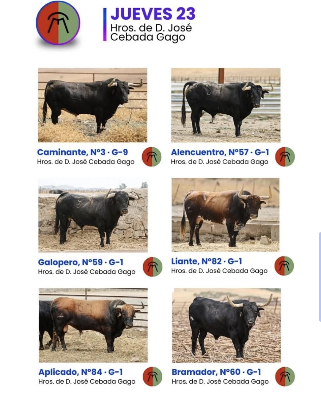 TOROS ONDA 23 OCTUBRE 2025