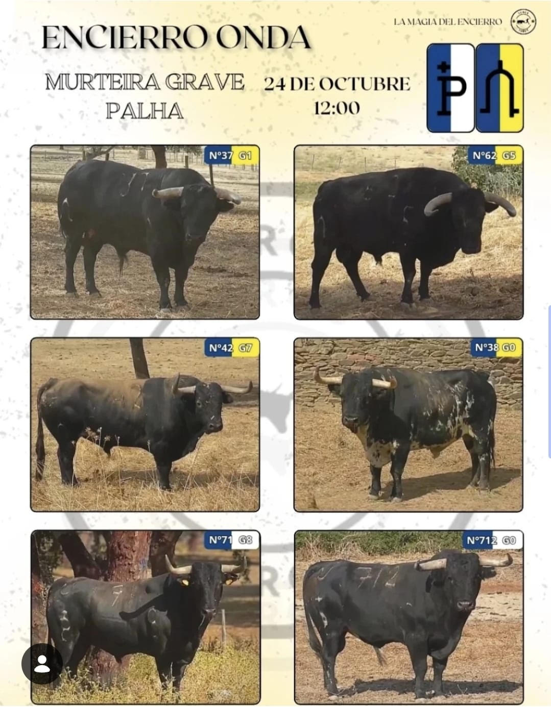 TOROS ONDA 24 OCTUBRE 2025