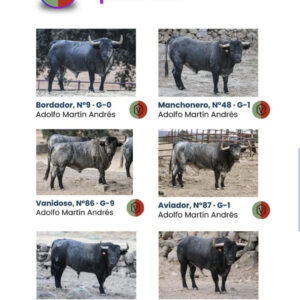 TOROS ONDA 25 OCTUBRE 2025