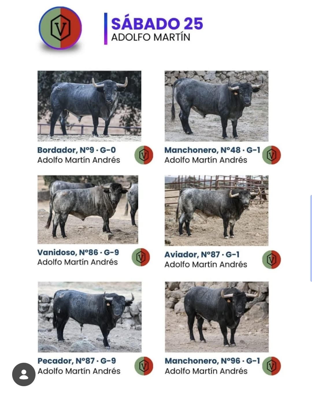 TOROS ONDA 25 OCTUBRE 2025