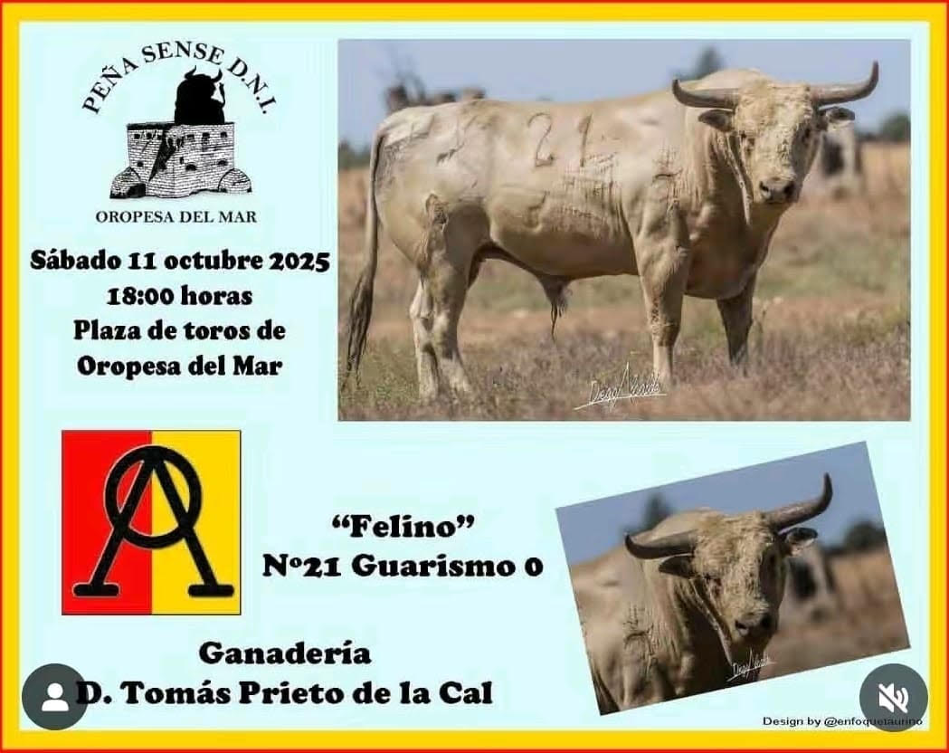 TOROS OROPESA DEL MAR 11 OCTUBRE 2025