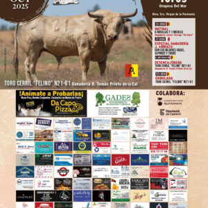 TOROS OROPESA DEL MAR 11 OCTUBRE 2025