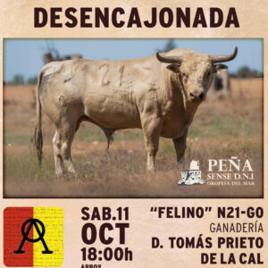 TOROS OROPESA DEL MAR 18 OCTUBRE 2025
