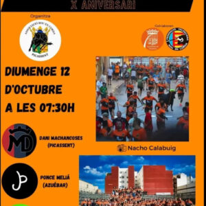 TOROS PICASSENT 12 OCTUBRE 2025