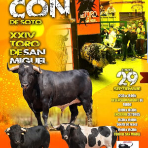 TOROS RINCON DEL SOTO 29 SEPTIEMBRE 2025