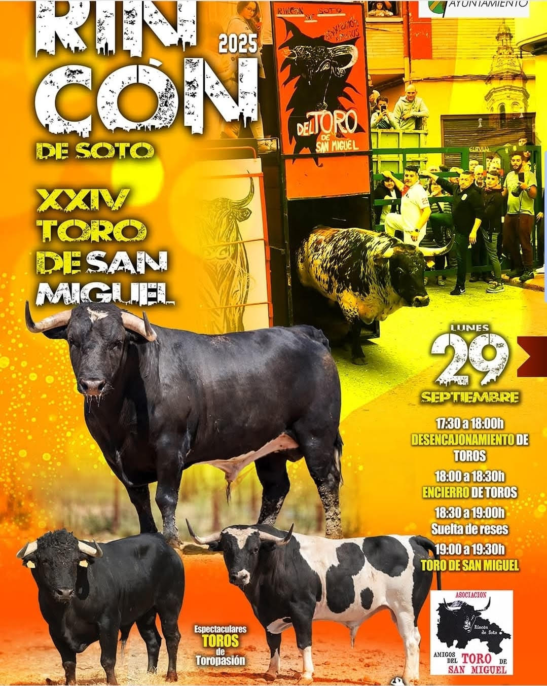TOROS RINCON DEL SOTO 29 SEPTIEMBRE 2025