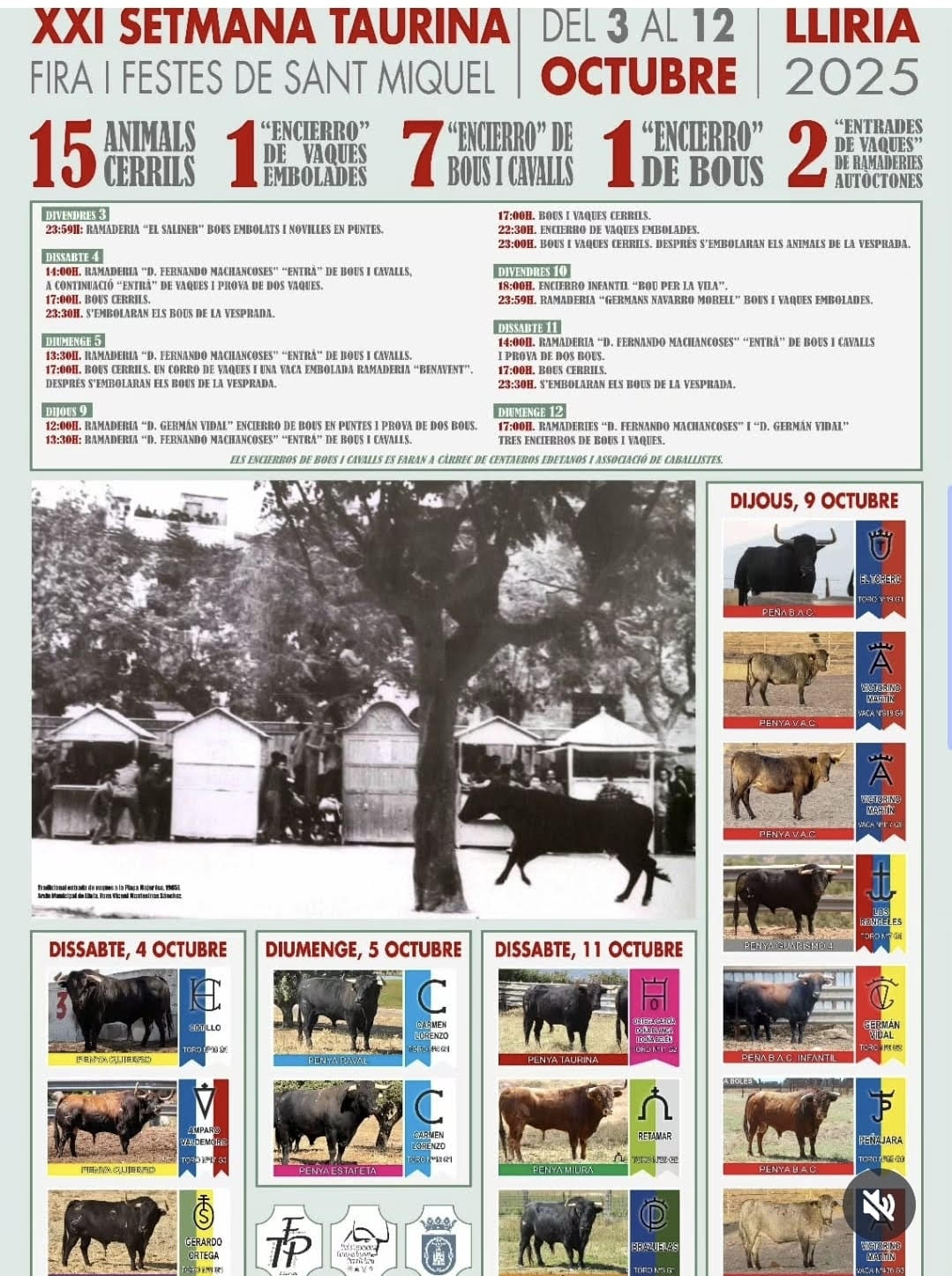 Toros Semana Taurina Llíria del 3 al 12 de Octubre 2025