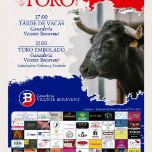 TOROS TERUEL 11 OCTUBRE 2025