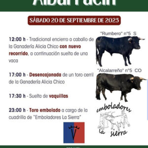 TOROS TORRES ALBARRACIN 20 SEPTIEMBRE 2025