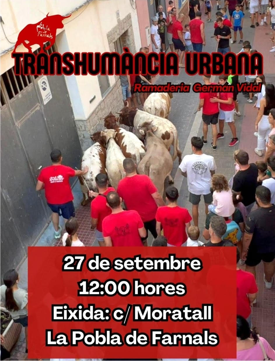 TOROS TRANSHUMANCIA LA POBLA DE FARNALS 27 SEPTIEMBRE 2025