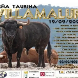 TOROS VILLAMALUR 19 SEPTIEMBRE 2025