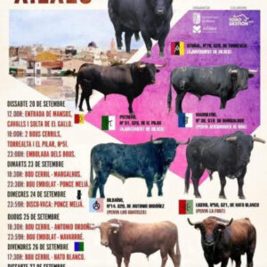 TOROS XILXEL DEL 20 AL 27 SEPTIEMBRE 2025