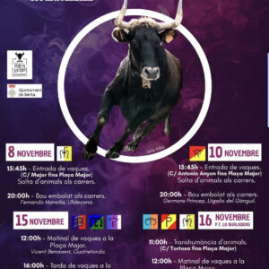 TOROS XERTA 8 NOVIEMBRE 2025