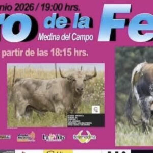 TORO-DE-LA-FERIA-6-DE-JUNIO-2026